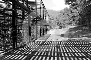 Wooden Architecture Structure with Shadows in a Forest in Cercedilla, Spain