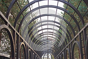 Wooden archway ceiling.