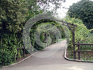 Wooden Archway in Ireland