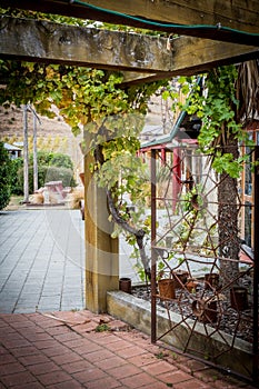 A wooden archway with paved footpath leading toto a vineyard