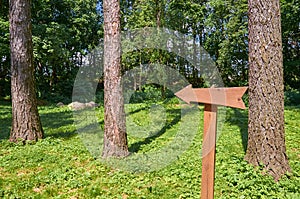 Wooden arrow direction indicator in the Park