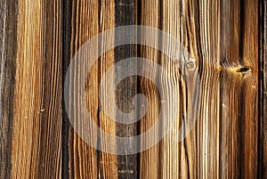 Wooden background.