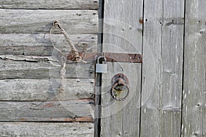 Wooden background