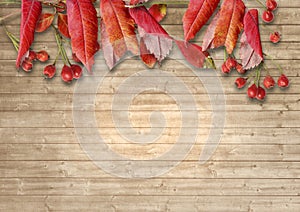 Wooden background with autumn leaves and red berries of mountain