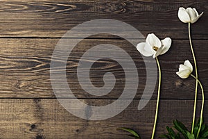 Wooden background of brown color with beautiful white spring flo