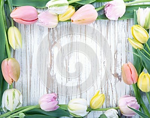 Wooden background with colorful tulips