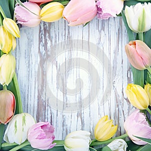 Wooden background with colorful tulips