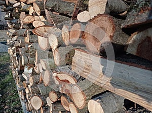 Wooden background. Firewood for the winter, stacks of firewood . Chopped wood logs for sale use in fire place at home stored on