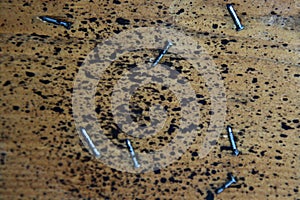 Wooden background with little black spots and hammered nails