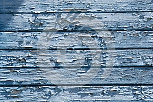 wooden background with old blue paint. The old wall