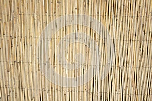 Wooden background with old natural pattern. Grunge surface wooden background. Wall of old wood background. Wooden background mater