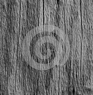 Wooden background and texture, beautiful wood pattern lines