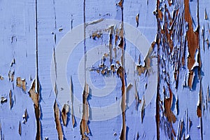Wooden background or texture with cracking and peeling lilac paint