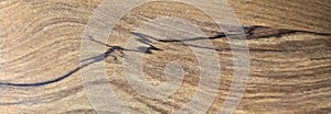 Wooden Background Texture.Timber, surface.Old brown bark wood texture. Natural wooden background