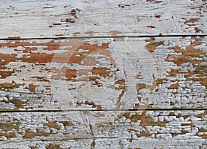 Wooden Background Texture with Weathering White Coating