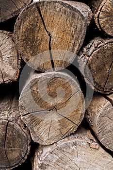 Wooden background with woodlog of tree