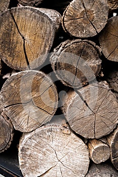 Wooden background with woodlog of tree
