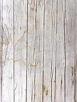 Wooden backgrounds texture