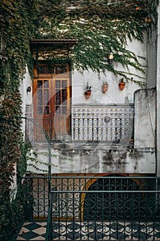 Wooden balcony door with vine covered wall