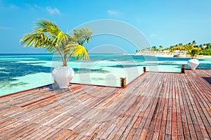 Wooden balcony of a luxurious resort with a view of a paradise beach with tall palm trees