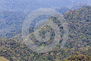 Wooden balcony terrace floor on viewpoint high tropical mountain of rainforest