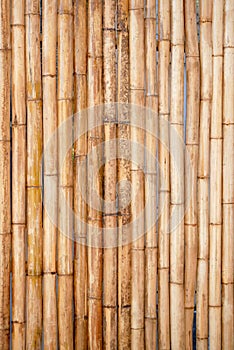 Wooden bamboo mat texture abstract background