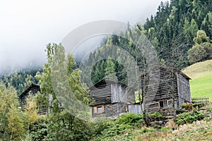 A wooden barn on the hill surrounded by fir forest. Old cottage on the mountain inside the cloud, natural environment.