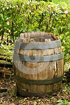 Wooden Barrel