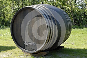 Wooden barrel photo