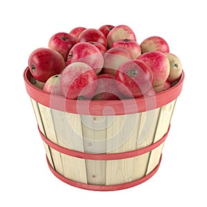 Wooden barrel with apples photo