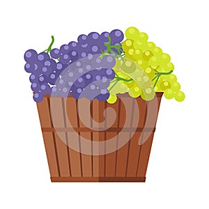 Wooden Barrel with Bunches of Wine Grape