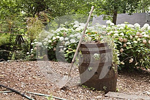 Wooden barrel with flowers and shovel