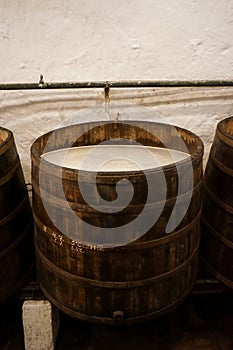 A wooden barrel full of fermenting beer.