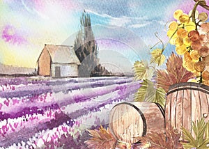 Wooden barrels and leaves of grapes. Background with a lavender field. Watercolor illustration for postcards