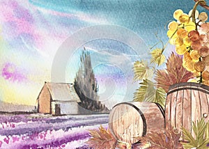 Wooden barrels and leaves of grapes. Background with a lavender field. Watercolor illustration for postcards