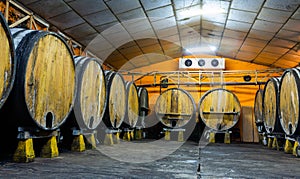 Wooden barrels in rows at contemporary cider actory. Asturias.