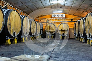 Wooden barrels in rows at contemporary cider actory. Asturias.