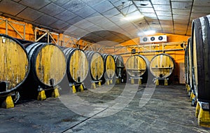 Wooden barrels in rows at contemporary cider actory. Asturias.