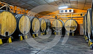 Wooden barrels in rows at contemporary cider actory. Asturias. Spain