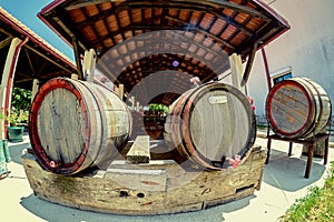 Wooden barrels of wine
