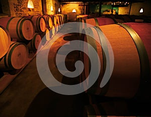 Wooden barrels for wine aging in the cellar
