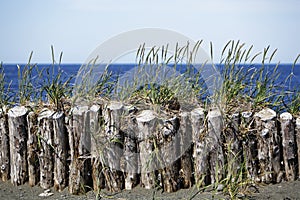 Wooden barricade by the ocean
