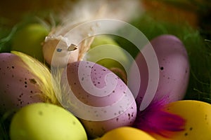 Wooden basket full of colorful eggs and bird