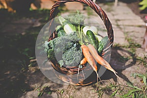 A wooden basket full of fresh picked harvest such as broccoli, carrots, cucumbers