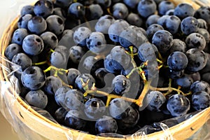 Wooden basket of grapes or blueberries