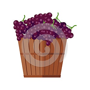 Wooden Basket with Grapes. Red Wine.