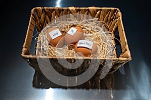 Wooden basket with hay and three eggs with notes `100`, `%`, `quality` is on the black transparent table/background. World Quality