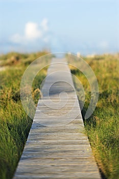 Wooden beach access walkway.