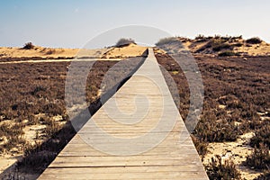 Wooden beach boardwalk path