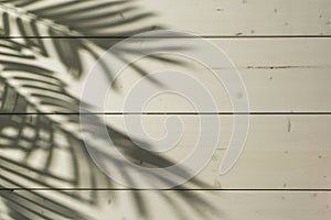 Wooden beach deck with palm leaves shadow